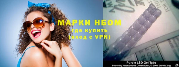индика Алексин