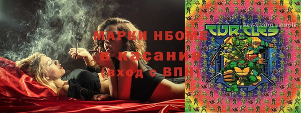 индика Алексин