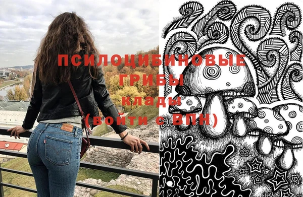 a pvp Алзамай