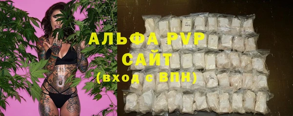 индика Алексин
